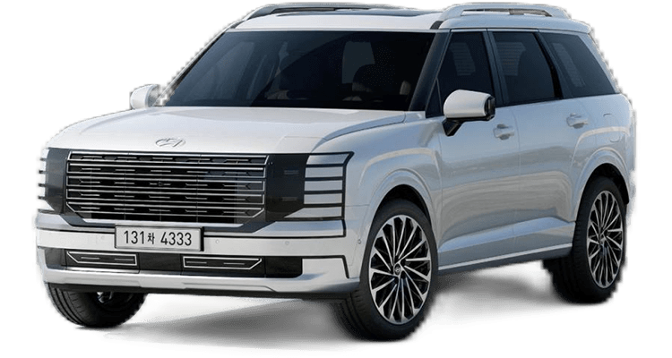 Empalizada HYUNDAI(P9000) 26-
