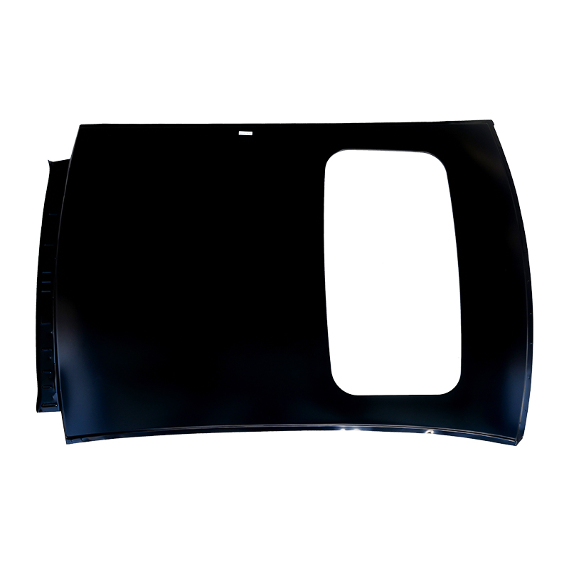 Techo Focus 2009 con Skylight Hatchback