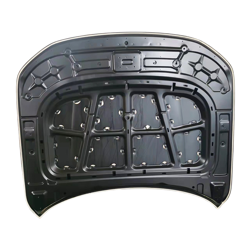 Cubiertas del capó del coche HONGQI H9